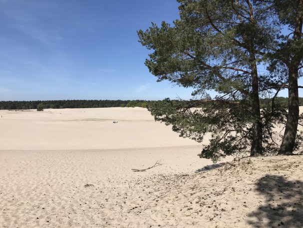 Nog even en dan start de zomervakanite